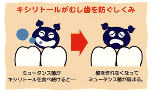 赤坂デンタルオフィスの予防歯科