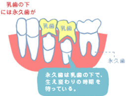 赤坂デンタルオフィスの小児歯科